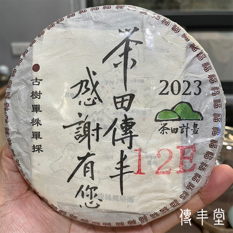 2023年 單株古樹青餅(馬庄古樹-編號12E)